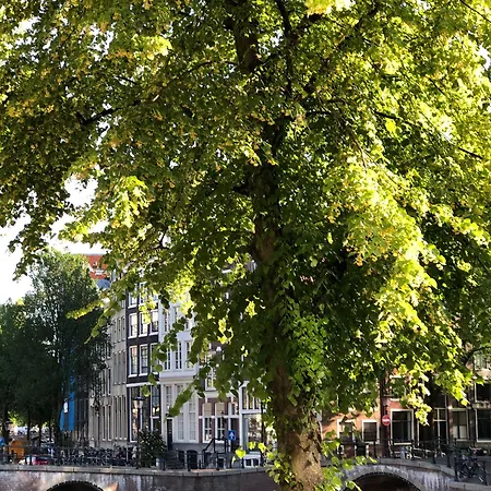 Milkhouse Luxury Oda ve Kahvaltı Amsterdam